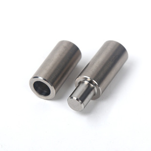 Pinto Pivot Hinge